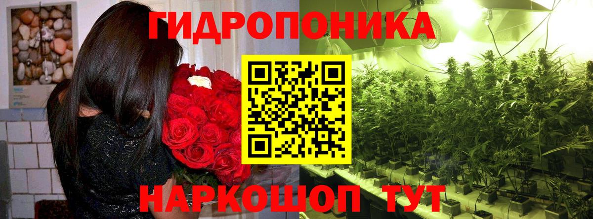 Марихуана планчик  Шишки марихуана гибрид  Вход с VPN  Гусиноозёрск  Бошки марихуана семена 